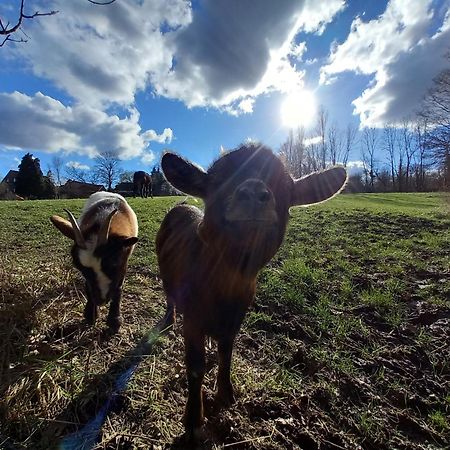 Les Hauts De Meez Dinant Zewnętrze zdjęcie