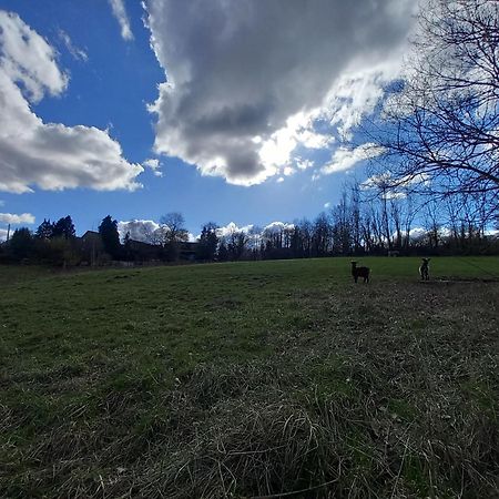 Les Hauts De Meez Dinant Zewnętrze zdjęcie