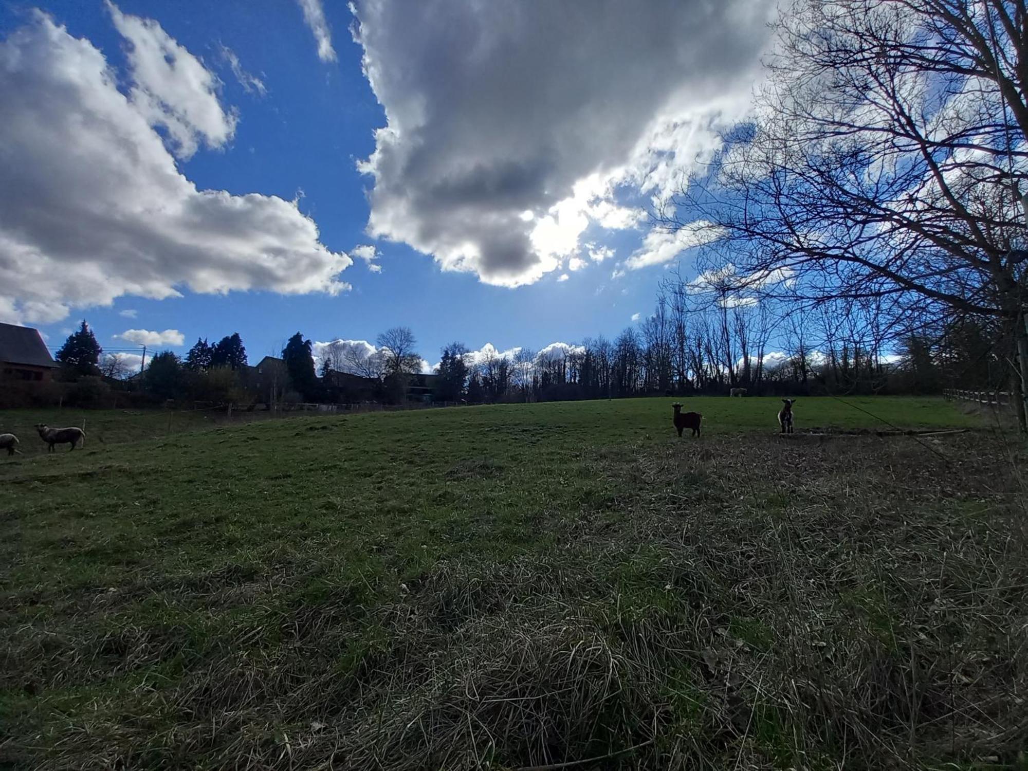 Les Hauts De Meez Dinant Zewnętrze zdjęcie