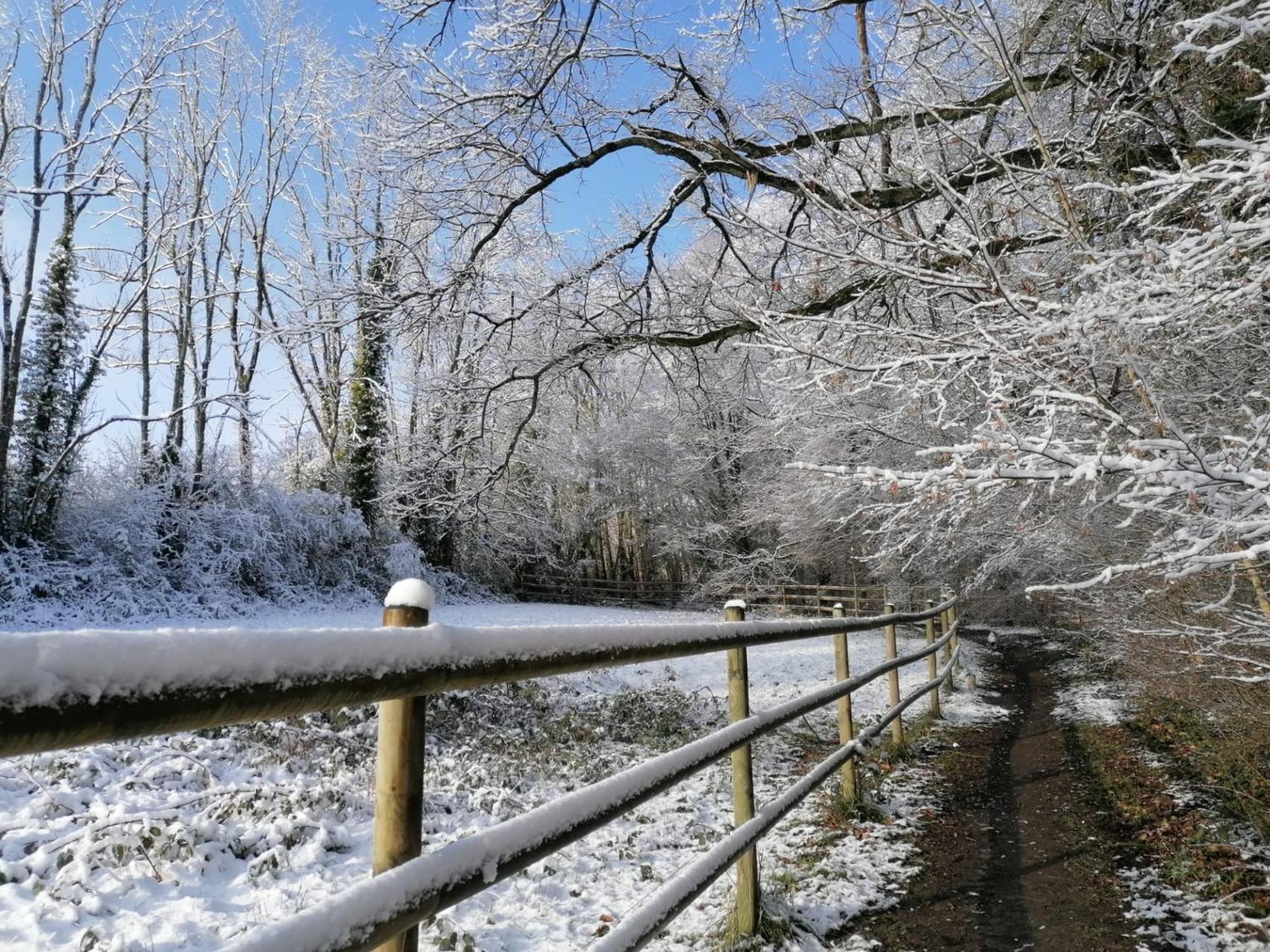 Les Hauts De Meez Dinant Zewnętrze zdjęcie